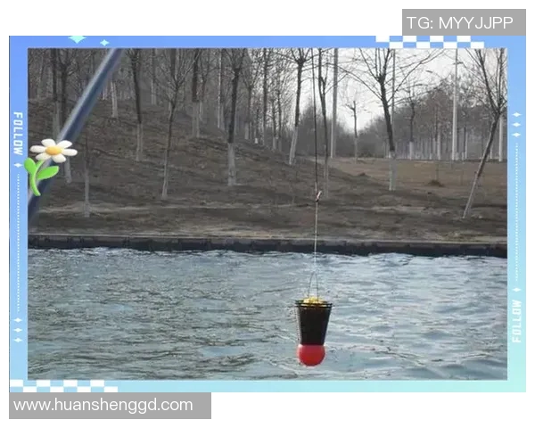 从零起步掌握乒乓球配合技巧的全面指南与实战经验分享